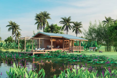 Modern contemporary tropical style wooden farmhouse with a large balcony close to a lotus pond surrounded by lush nature