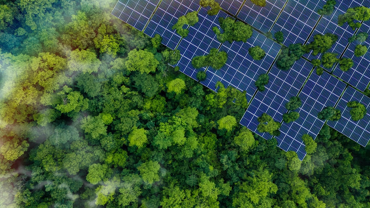 Solar panels installed in the green forest, clean alternative energy concept